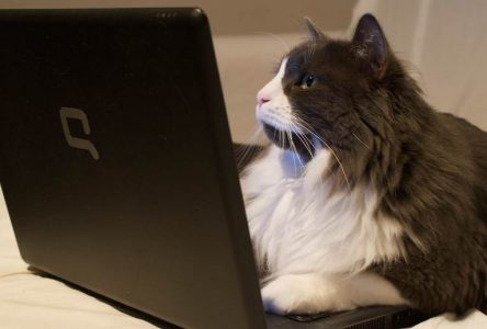 Online Pazarlamaya Bakışınızı Değiştirecek 10 Önemli İstatistik