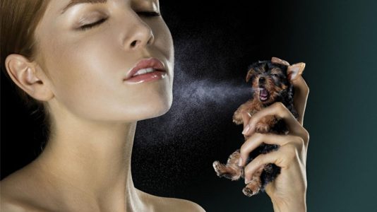 25 Etkileyici Çevreci Reklam Çalışması