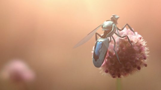 Black Mirror’daki Robot Arılar Gerçek Oluyor