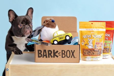 Abonelerinin %95’ini Elinde Tutmayı Başaran Abonelik Servisi: BarkBox