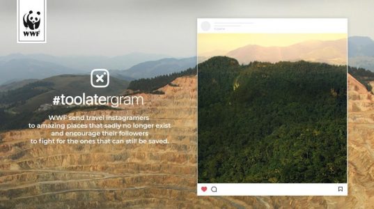 WWF, Instagram Filtreleri ile Çevre Kirliliğine Dikkat Çekiyor
