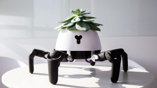 Bitkiye İnsanlardan Daha İyi Bakan Bir Robot Geliştirildi