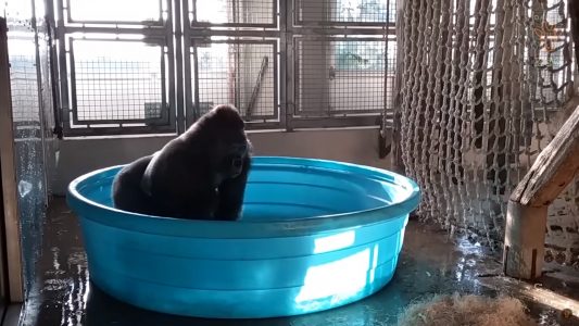 6 Dikkat Çekici Viral Reklam