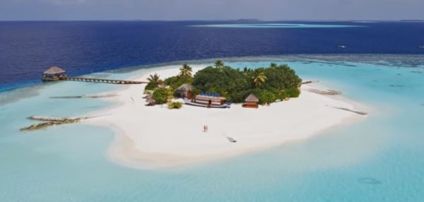 Shutterstock Fyre Festivali’ni Fena Tiye Aldı