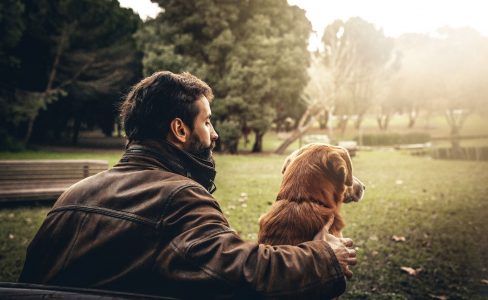 Köpek Maması Kutu Aboneliği Girişimi Barkyn 1.7 Milyon Euro Yatırım Topladı